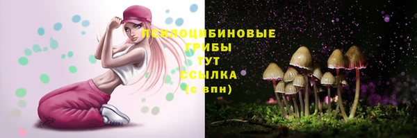 бошки Армянск