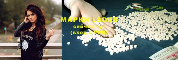 прущая мука Арсеньев